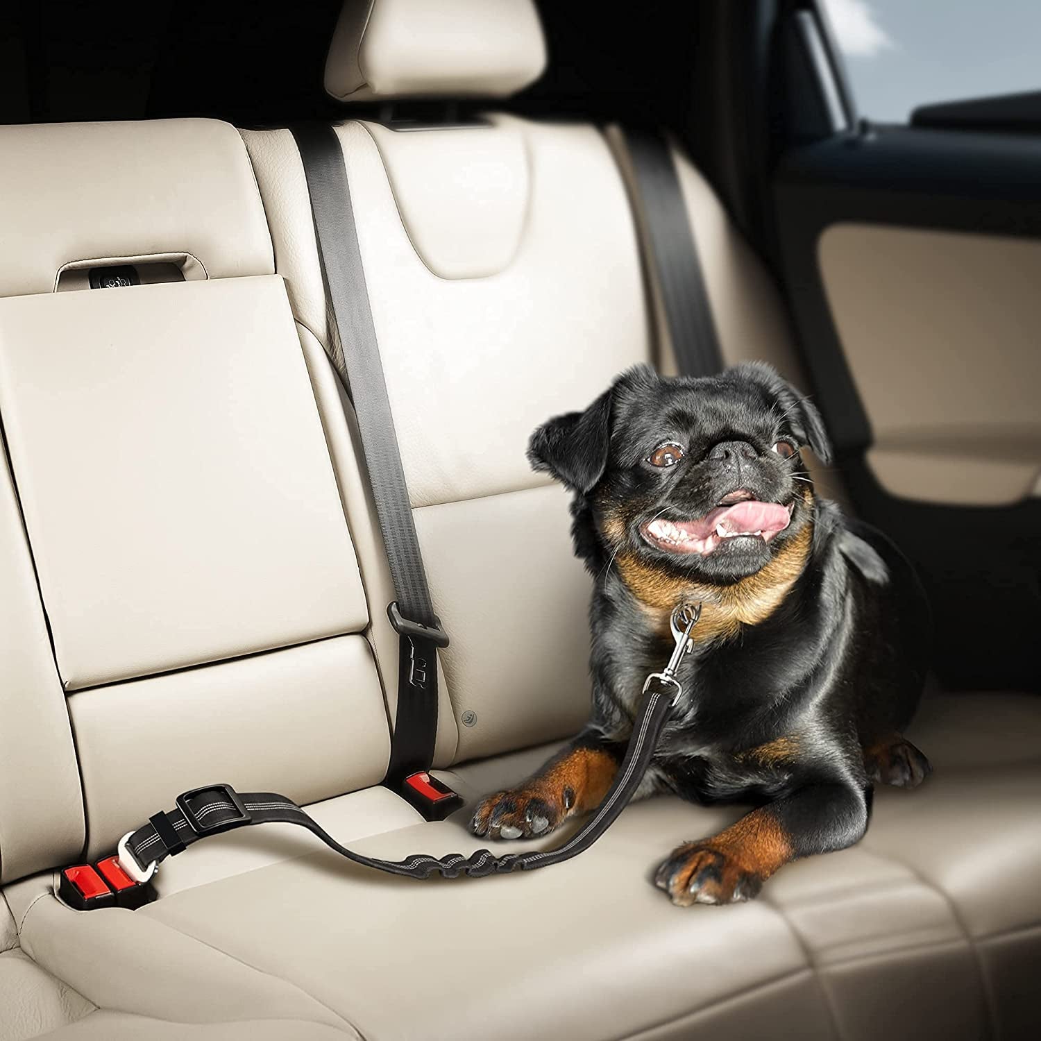 Car Travel Accessories for Dogs Adjustible, Elastic (Black)