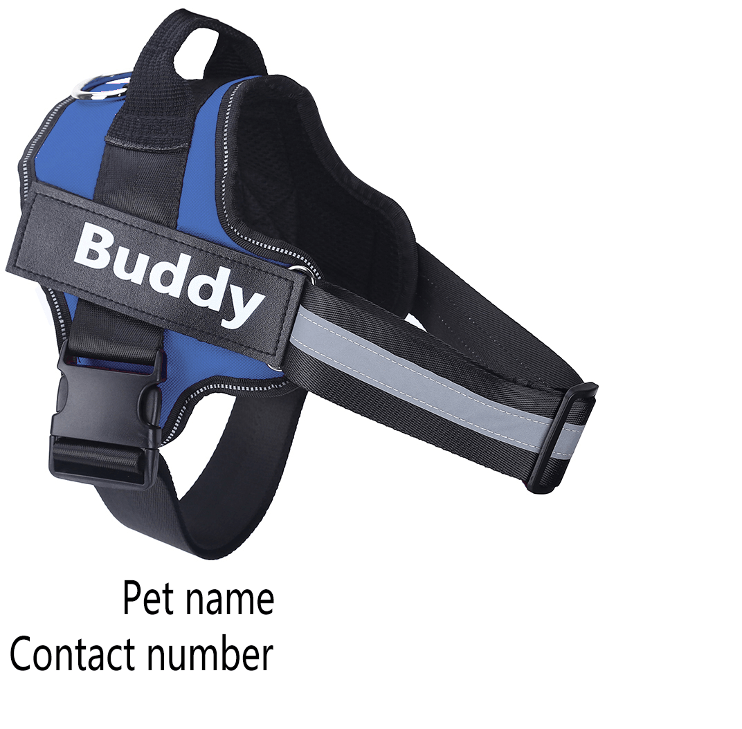 Adjustable Pet Harness Vest-pets-KikiHomeCentre