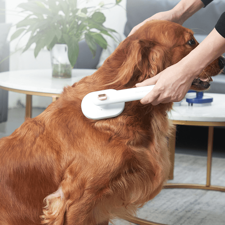 Pet Hair Removal Comb-0-KikiHomeCentre