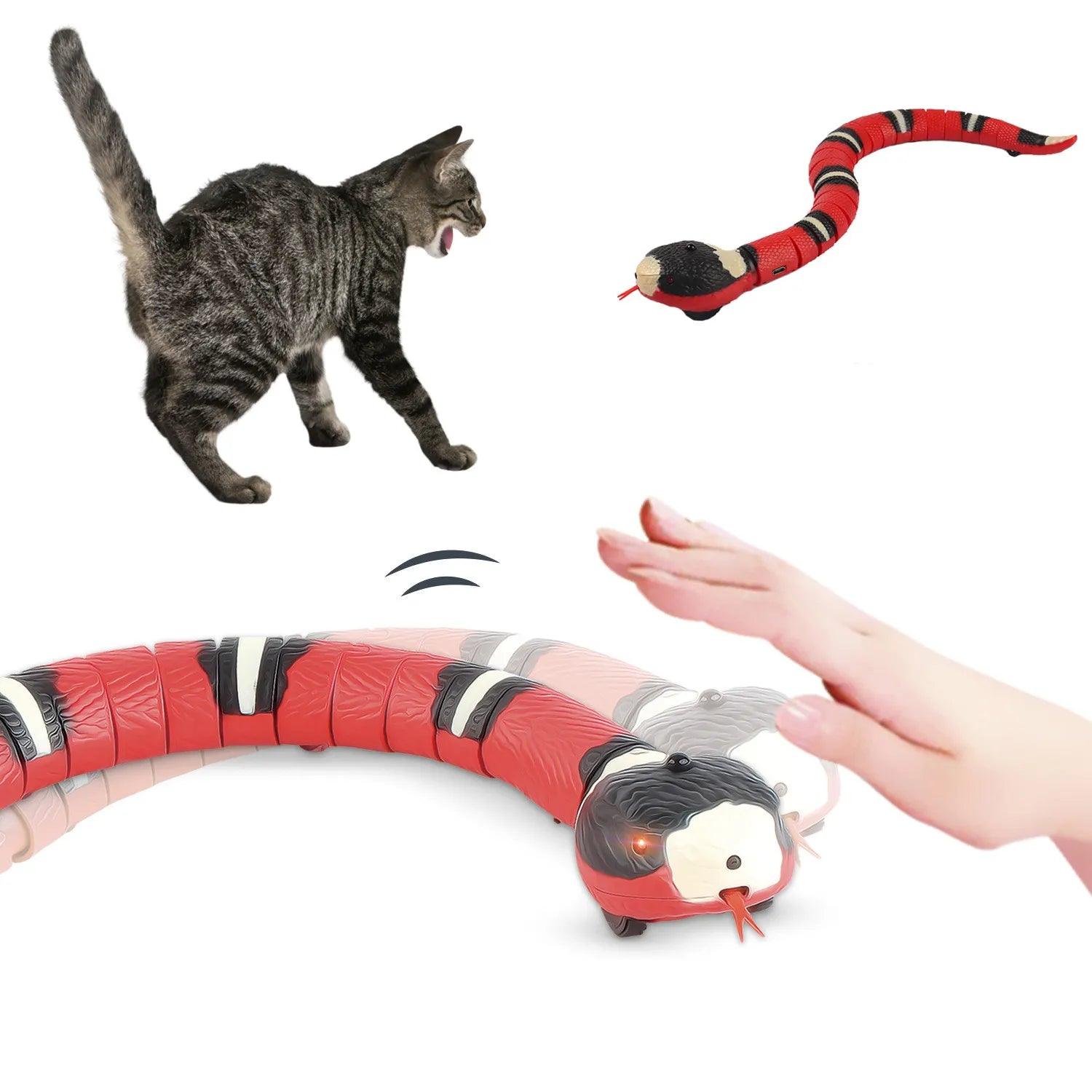 SmartCat Interactive Toy-KikiHomeCentre